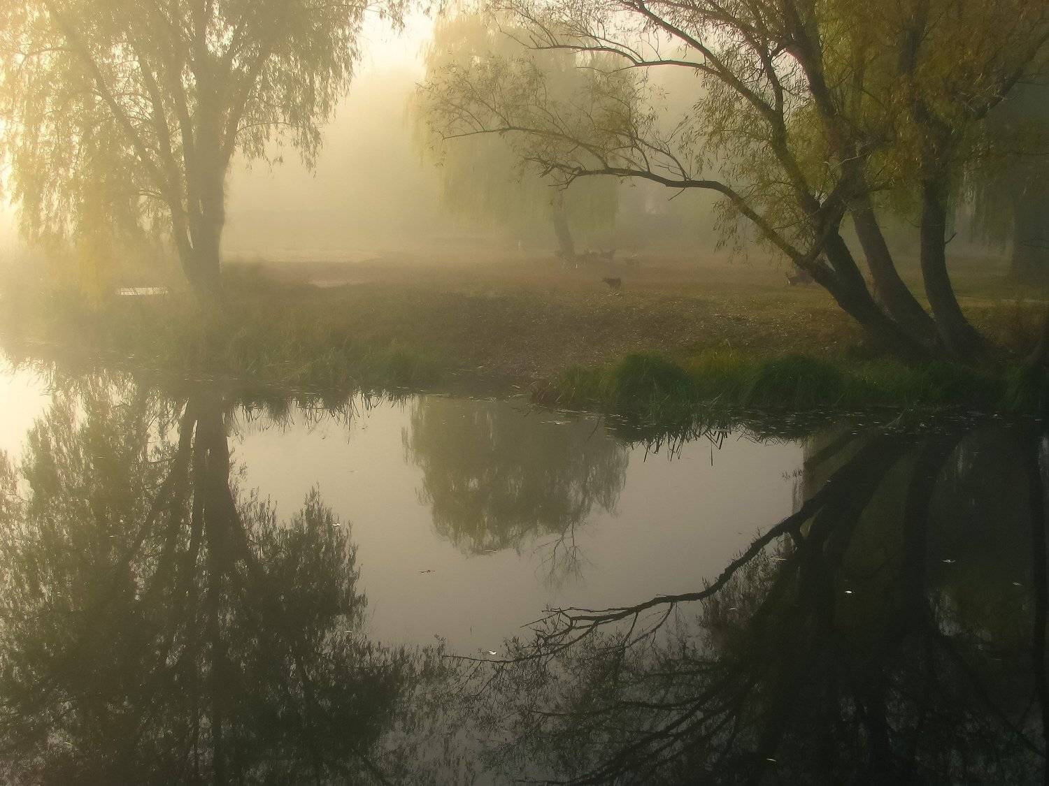 васильков, стугна, путровка, озеро, гроза, панорама,, Алексей Медведев