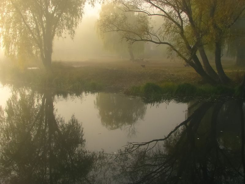 васильков, стугна, путровка, озеро, гроза, панорама, Под ивами фото превью