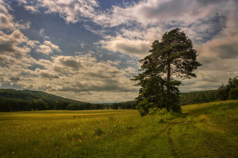 * фото превью