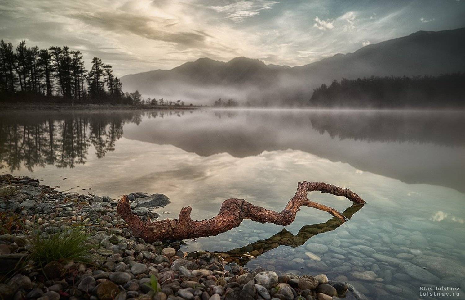 , Станислав Толстнев