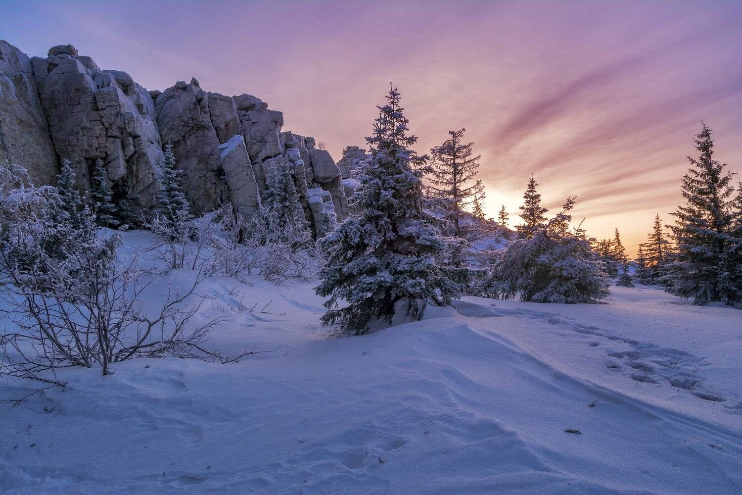 , Андрей Шарапов