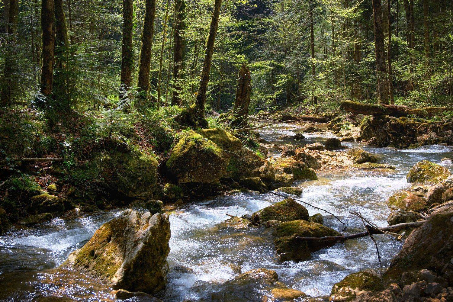 , Сергей Тихомиров