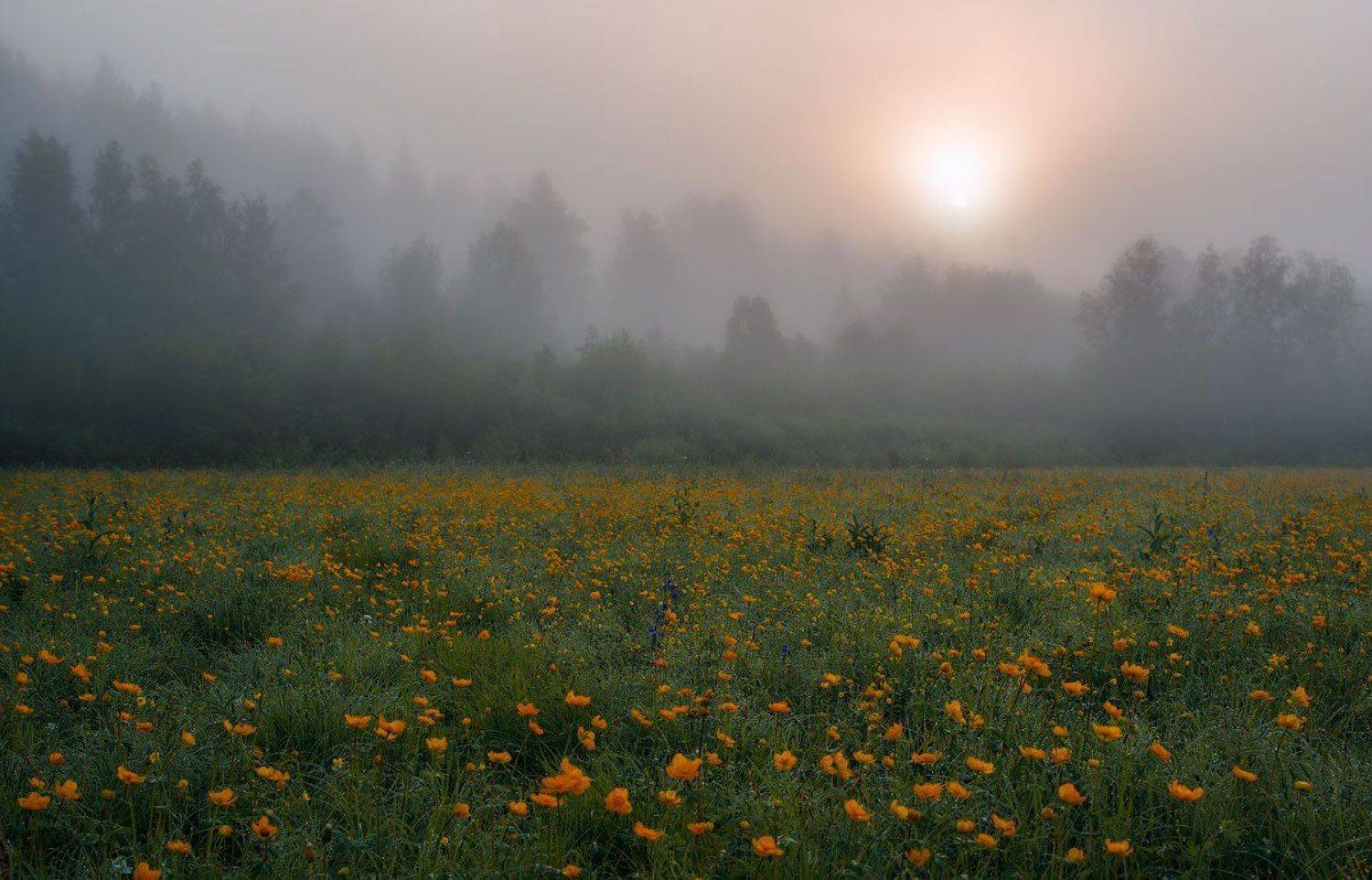 , Сергей Брагин