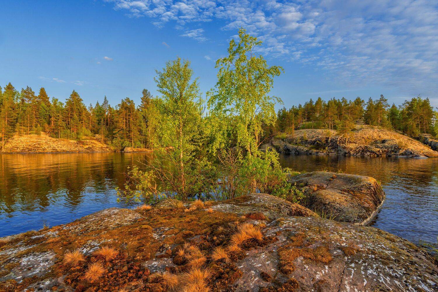 Ладога, ладожские шхеры, фототуры с Владимиром Рябковым., Владимир Рябков