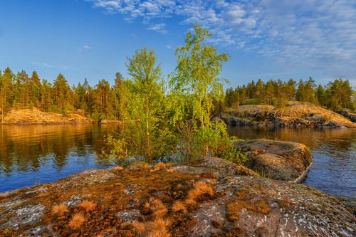 Небольшой островок. Ладога. 