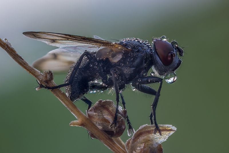 ... фото превью