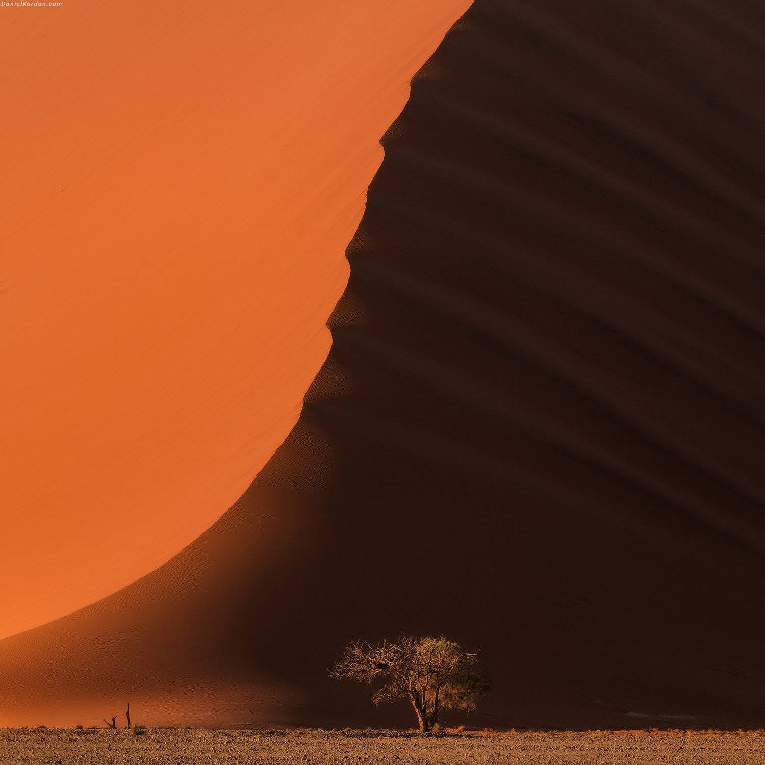 намибия, Даниил Коржонов