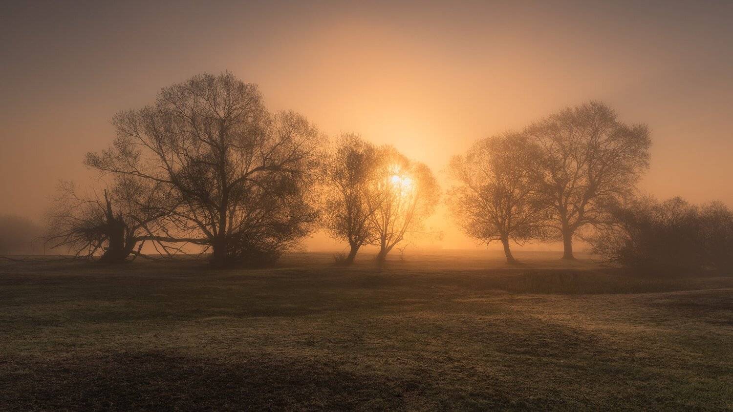 , Bartłomiej Kończak