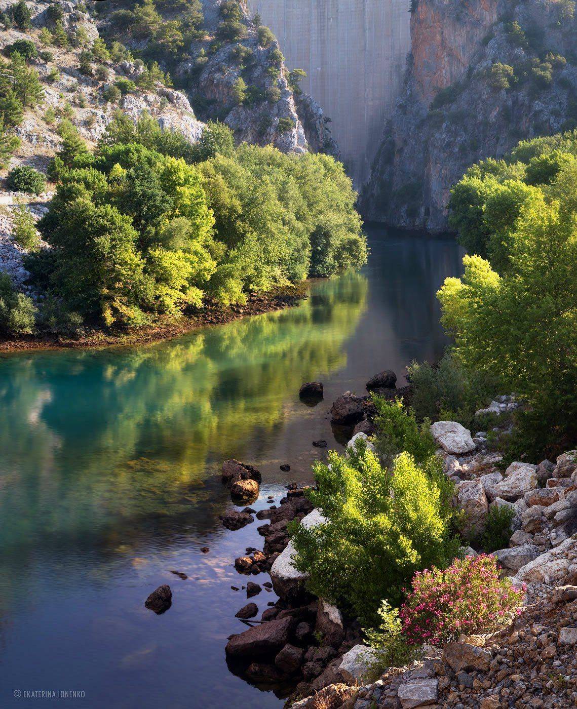 , Екатерина Ионенко