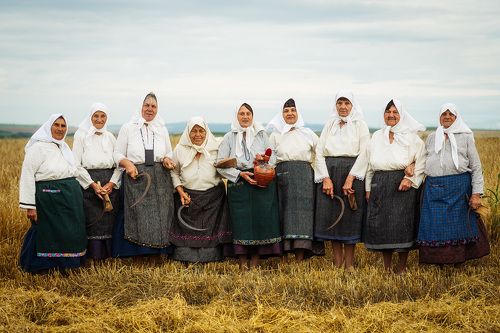 Portrait of nine harvesters
