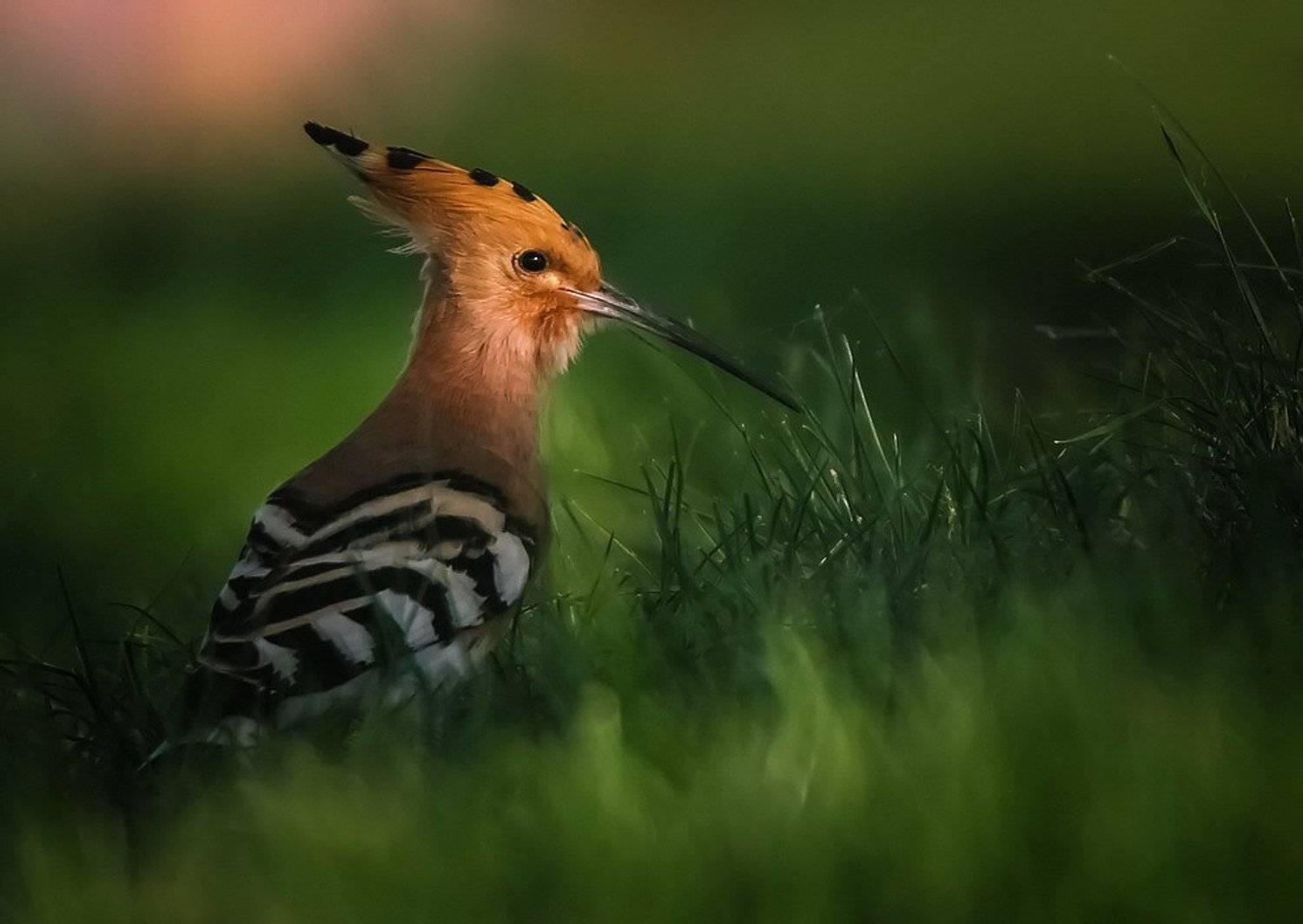 , Вячеслав Мищенко