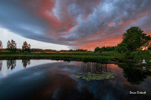 Summer sunset