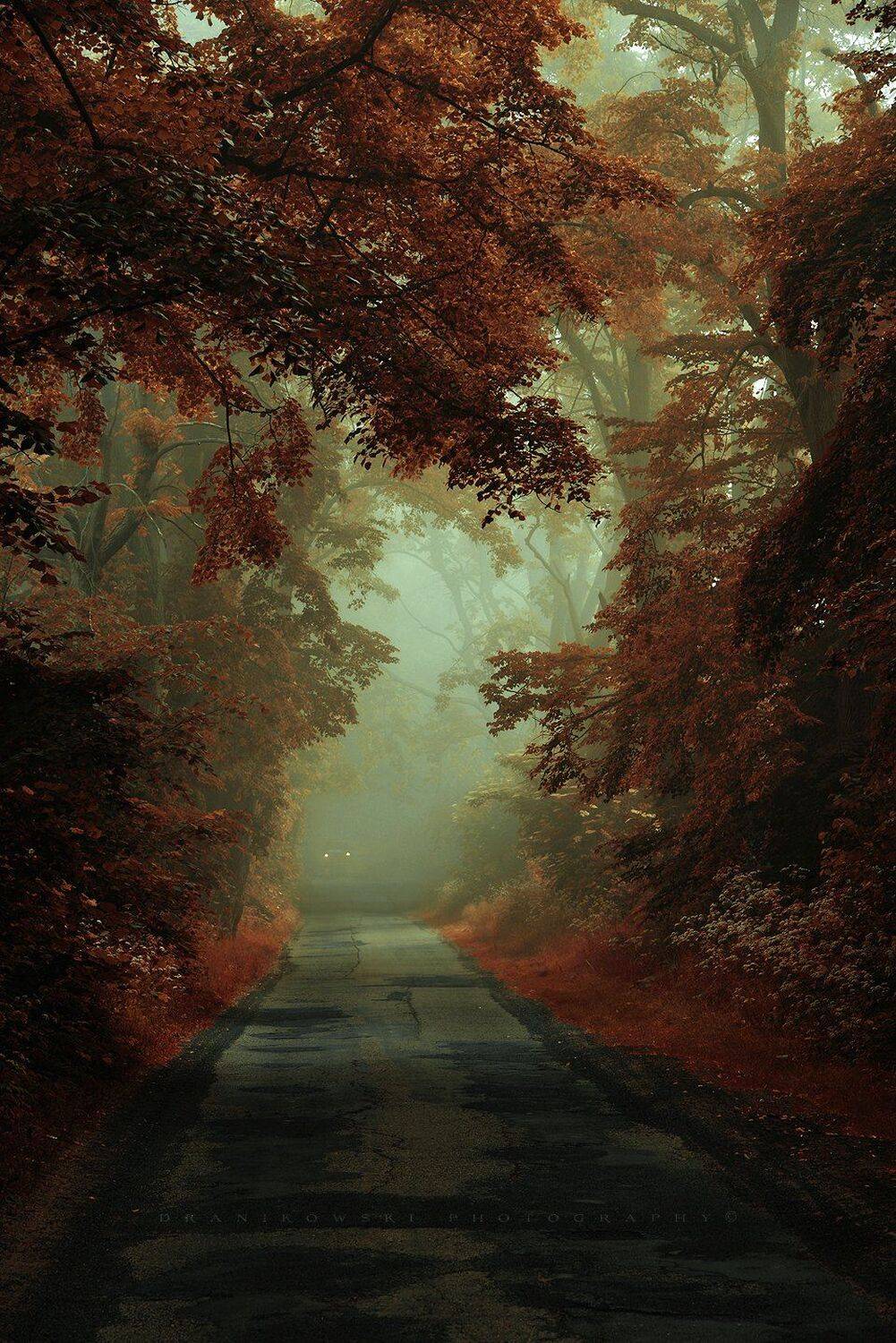 другой мир дороге road dark mist magic foggy path mod red fog car poland, Radoslaw Dranikowski