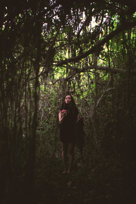 the forbiden fruit фото превью