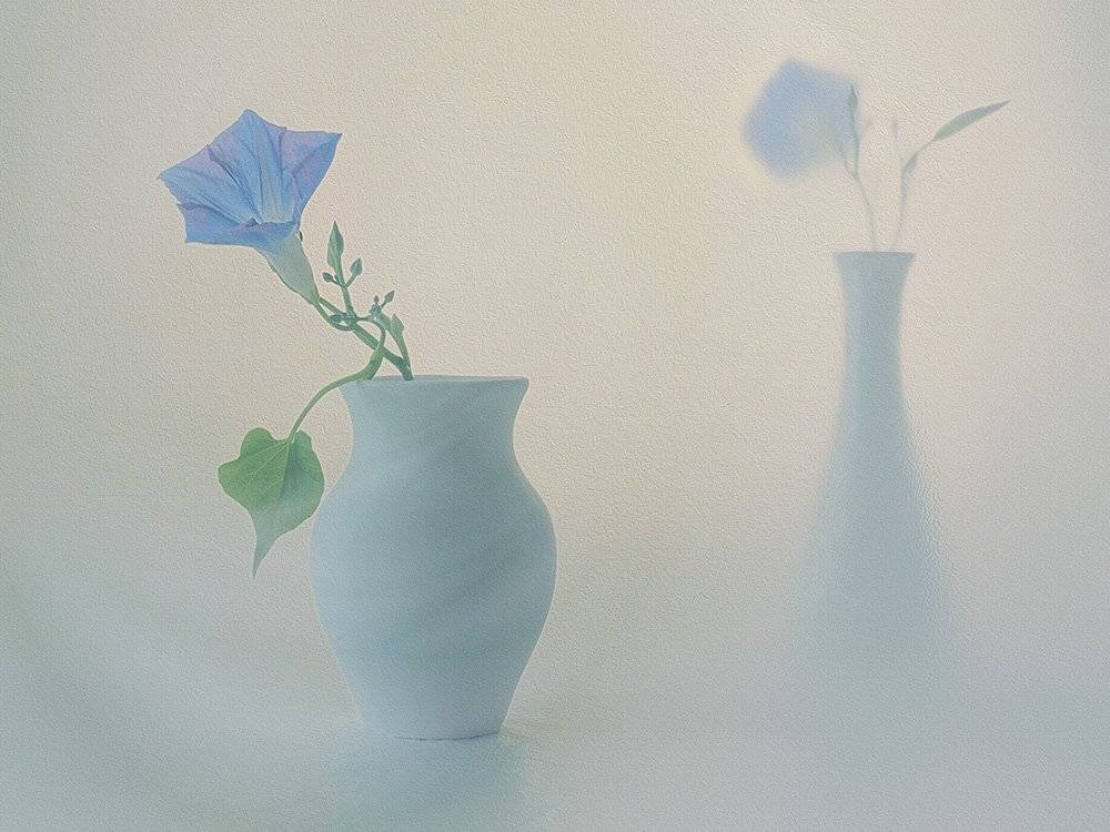 , Анжелика Королева