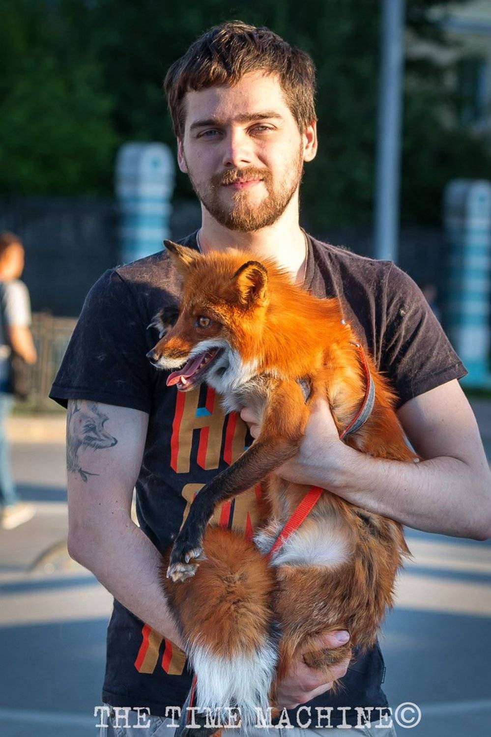 , Михаил Бове