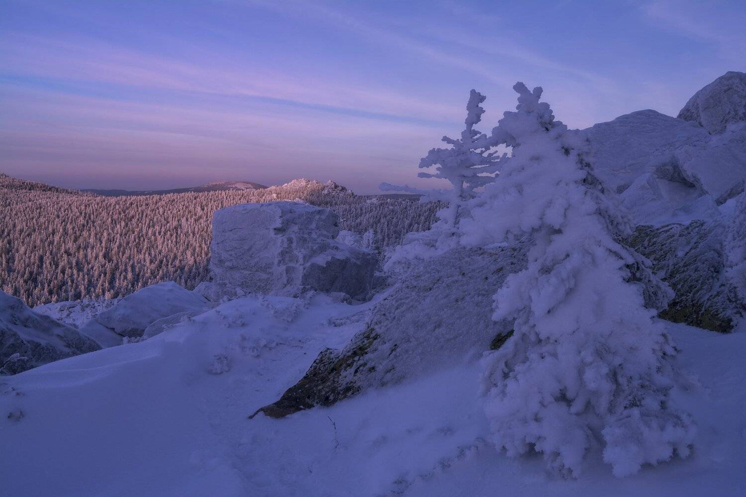 , Андрей Шарапов