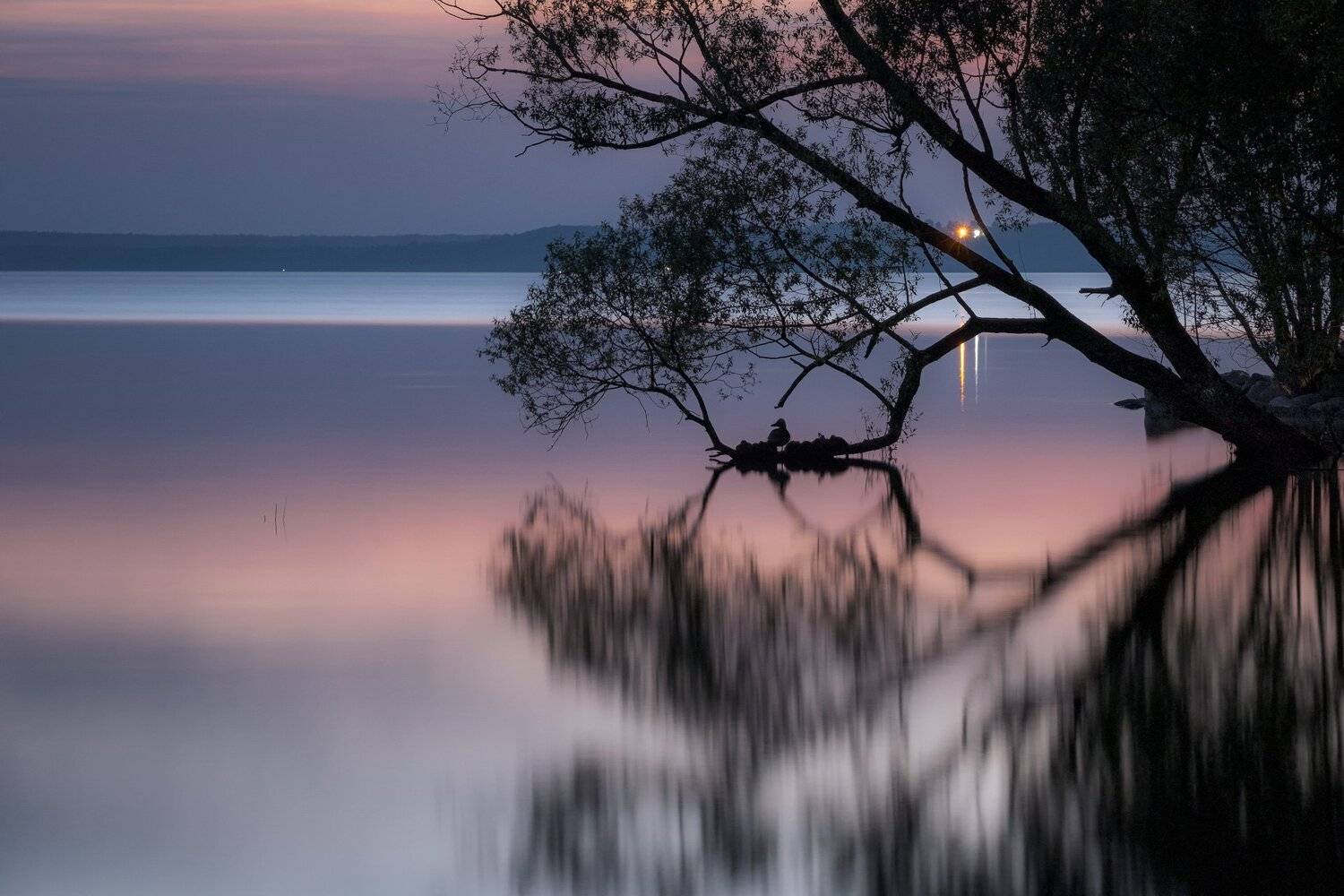 пейзаж, переславль, природа, плещеево, озеро, деревья, небо, отражения, утки, ночь, заря, Андрей Чиж