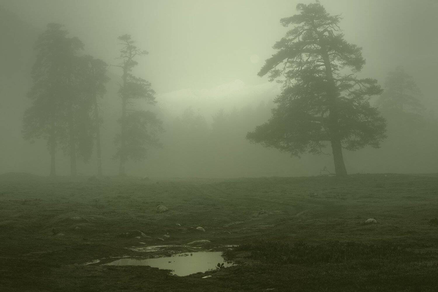 горы весна утро туман рассвет, Александр Жарников