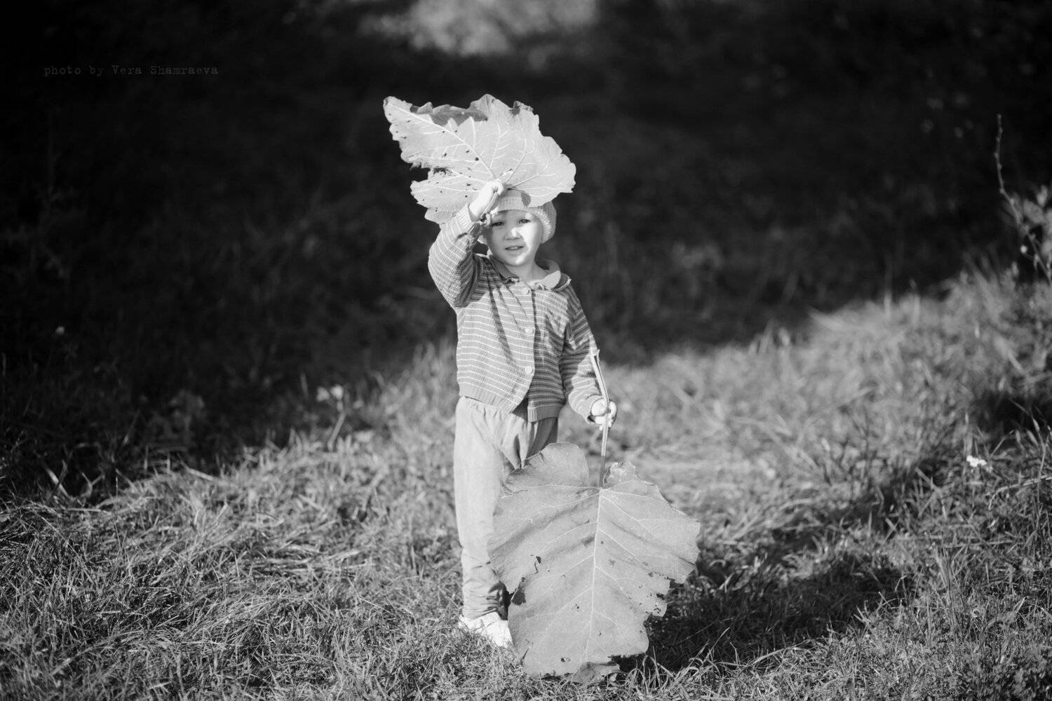 лето, деревня, жанр, Вера Шамраева