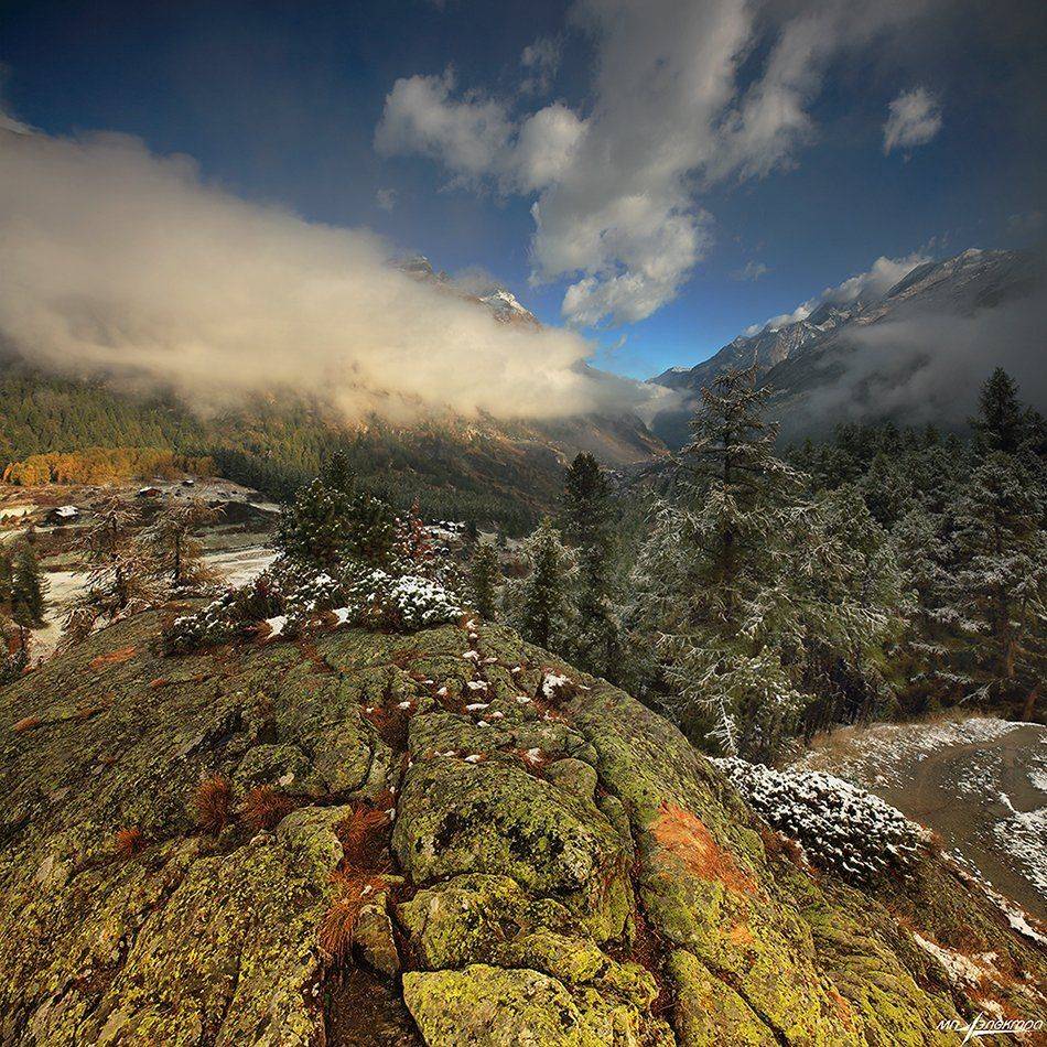 swiss, Матвеев Николай