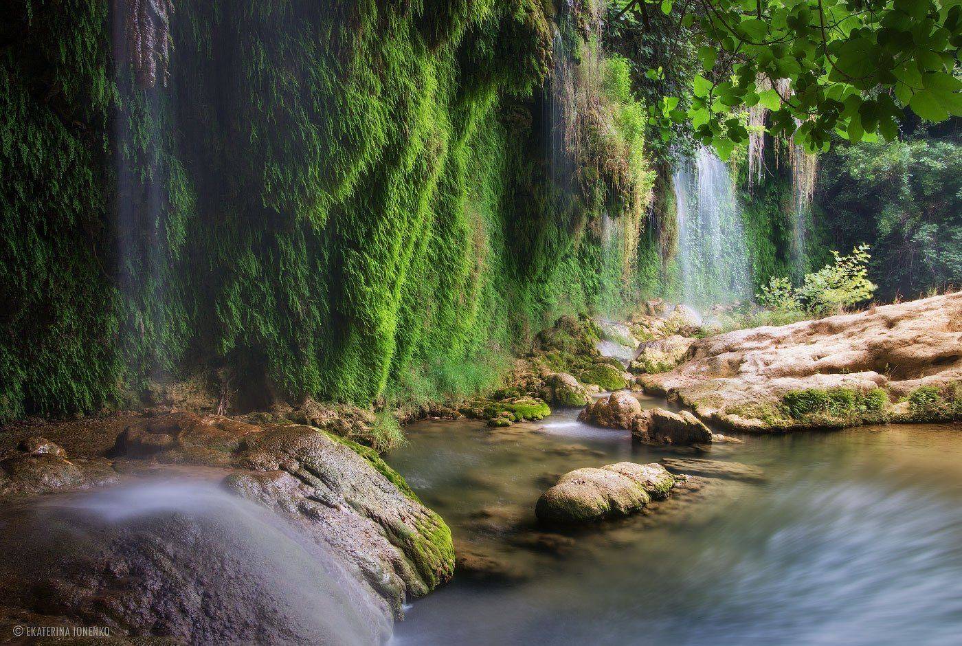 , Екатерина Ионенко