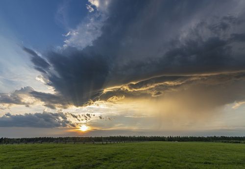 Запах грозы