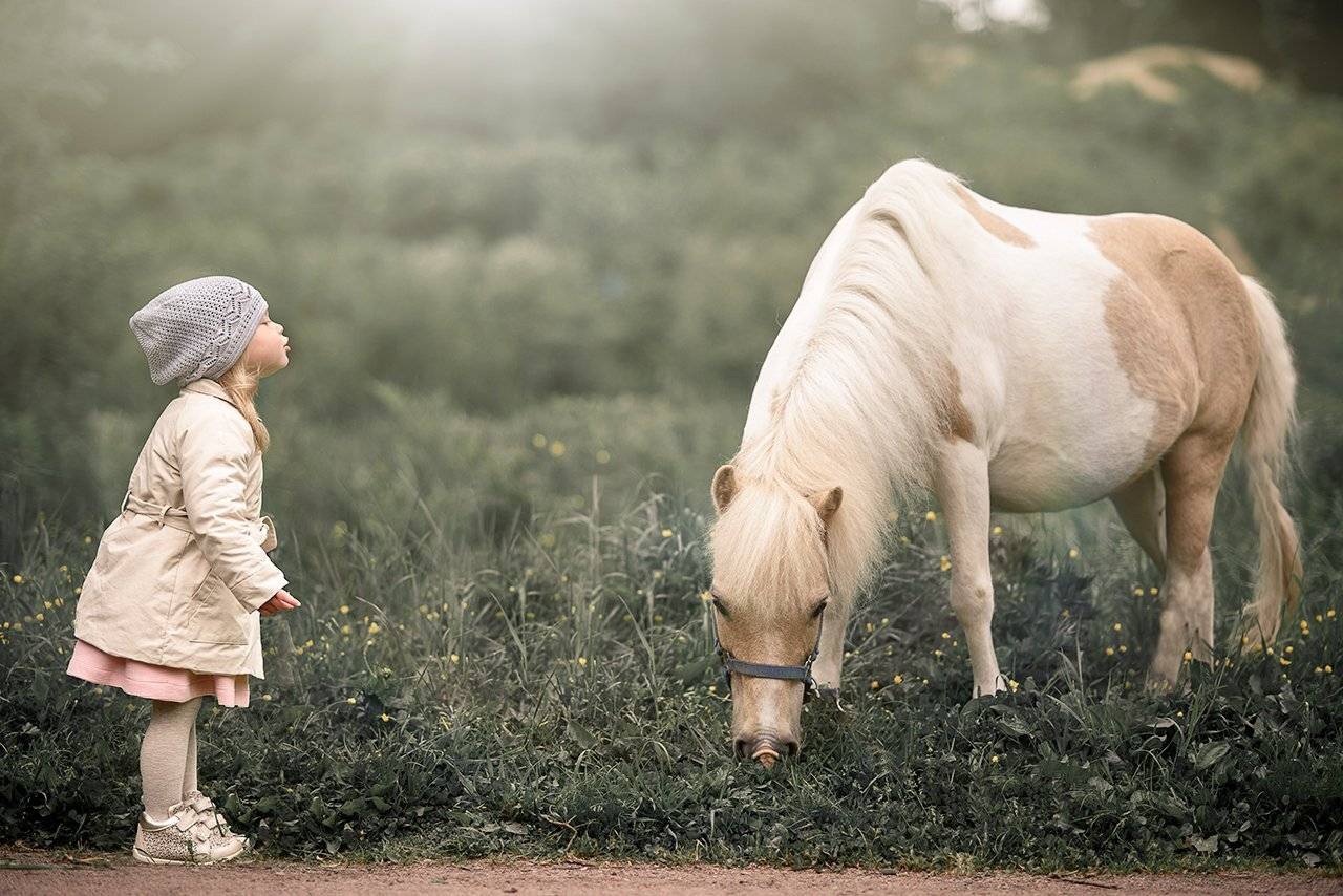 , Максим Лобиков