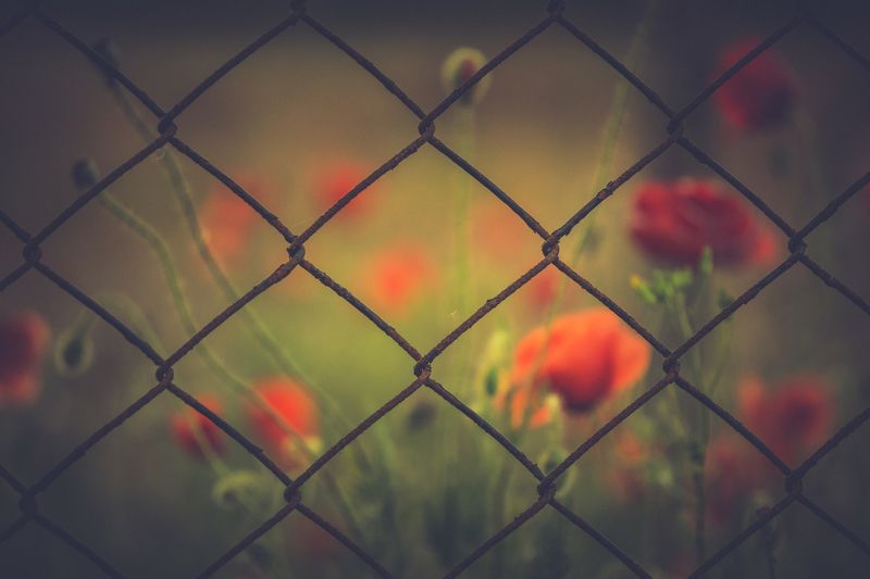 sony a 6000 ... фото превью