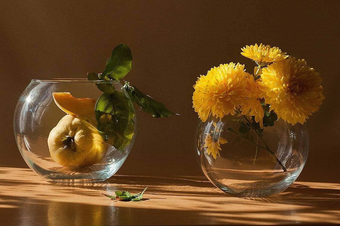 , Анжелика Королева