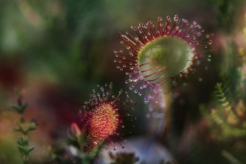 Tears фото превью