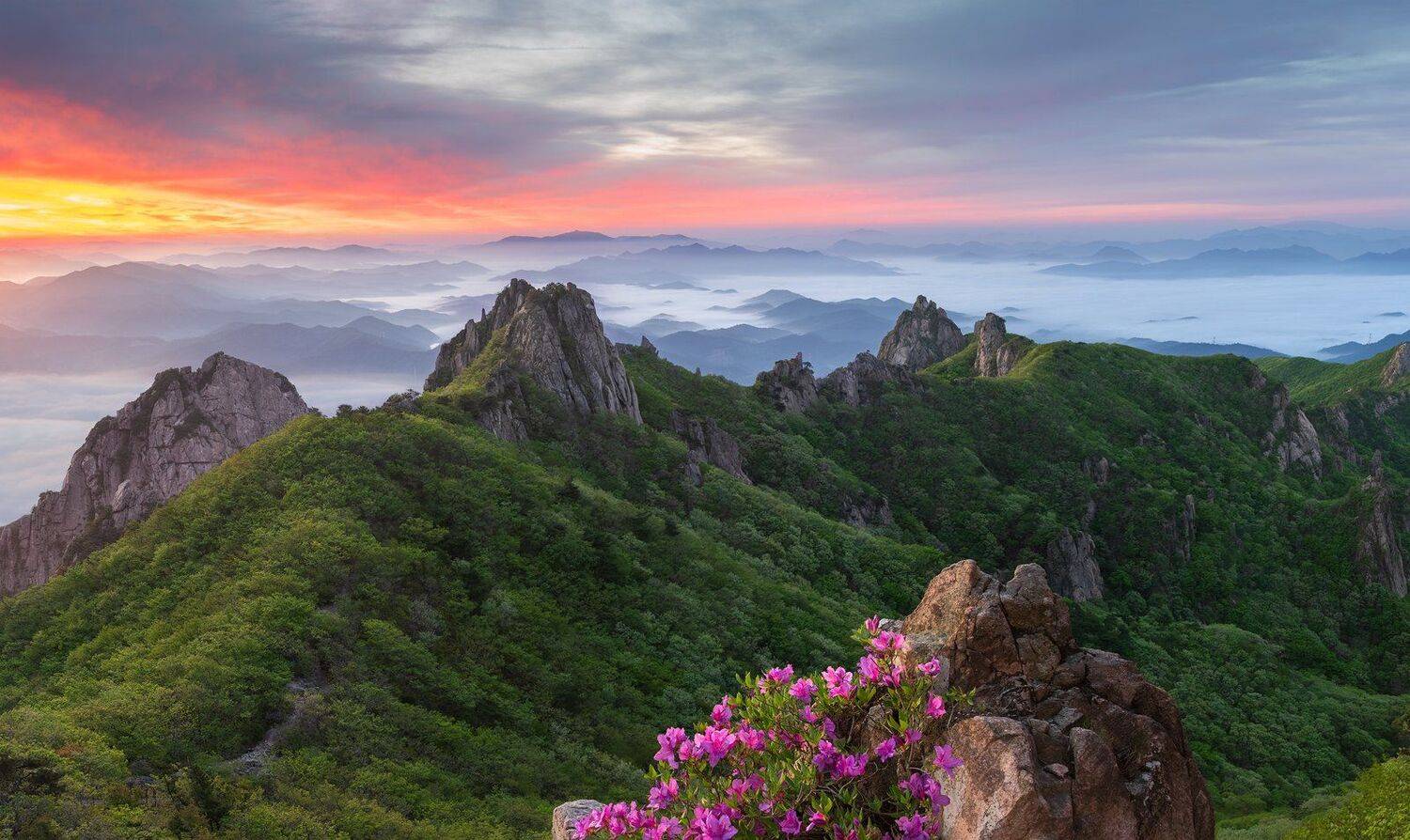, Jaeyoun Ryu