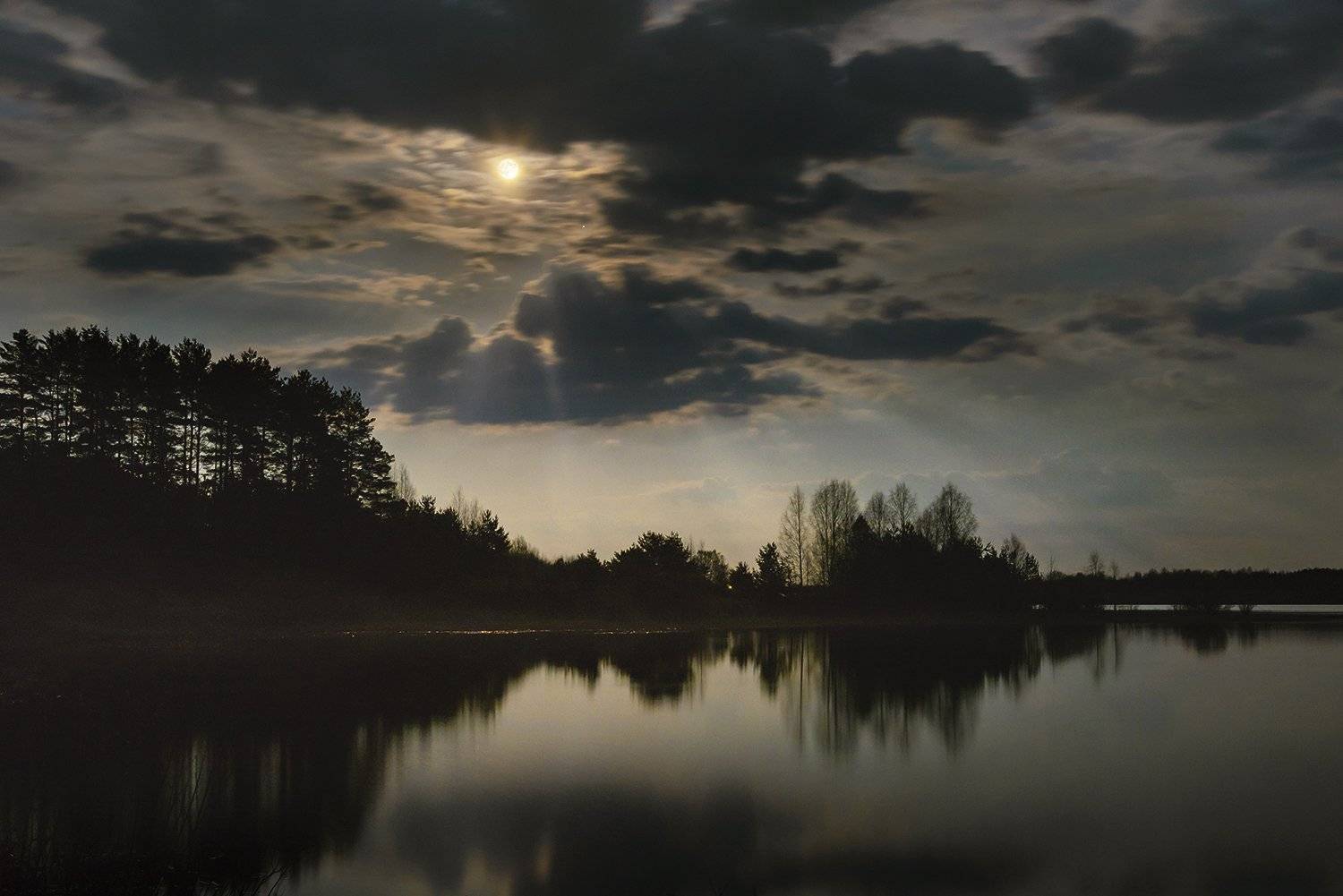 , Дмитрий Асеев