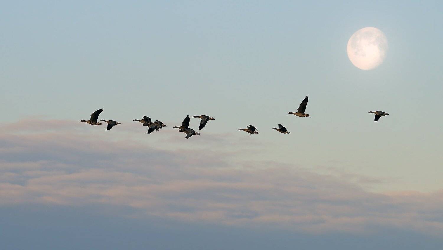 , Михаил Калинин