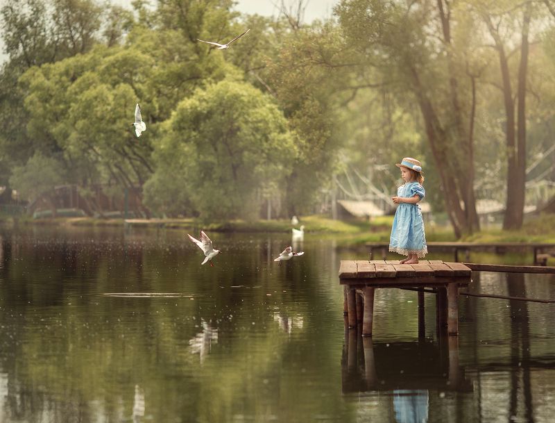 Чайки фото превью