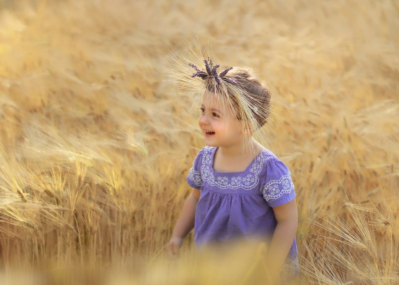 дети, поле, лето, рожь, детство В золоте полей фото превью