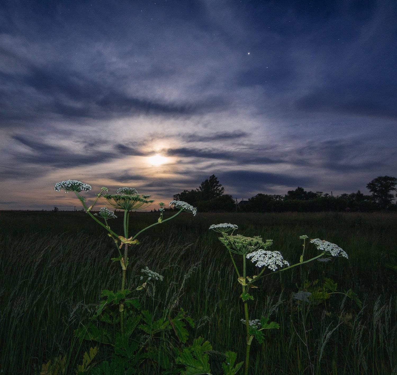 ночь, луна, пейзаж, samyang, Артемий Тузов