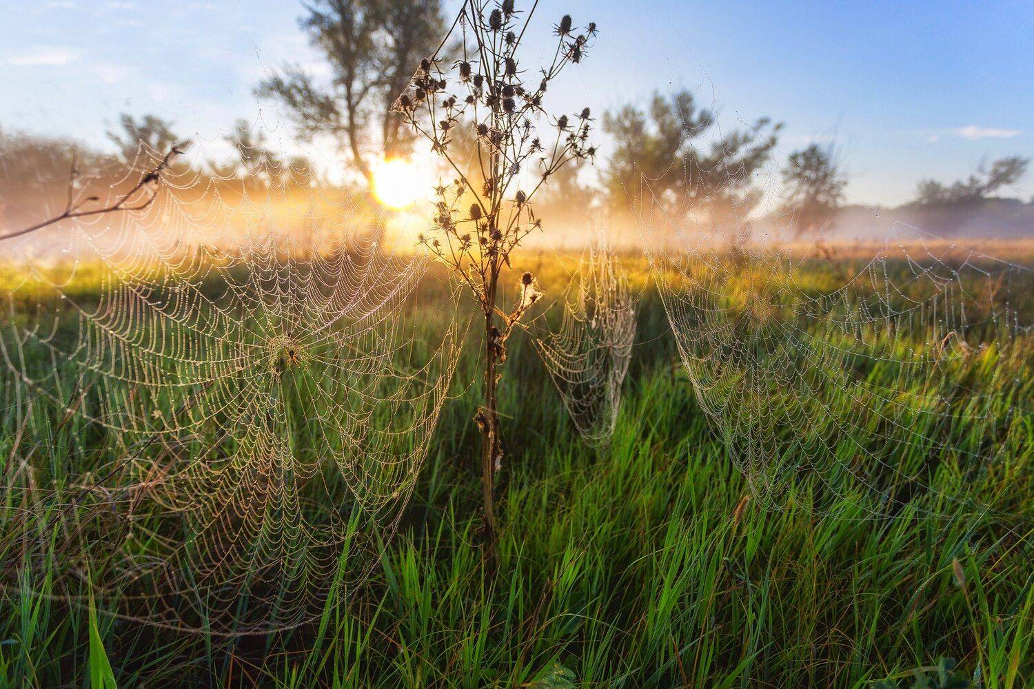 , Павел Сагайдак