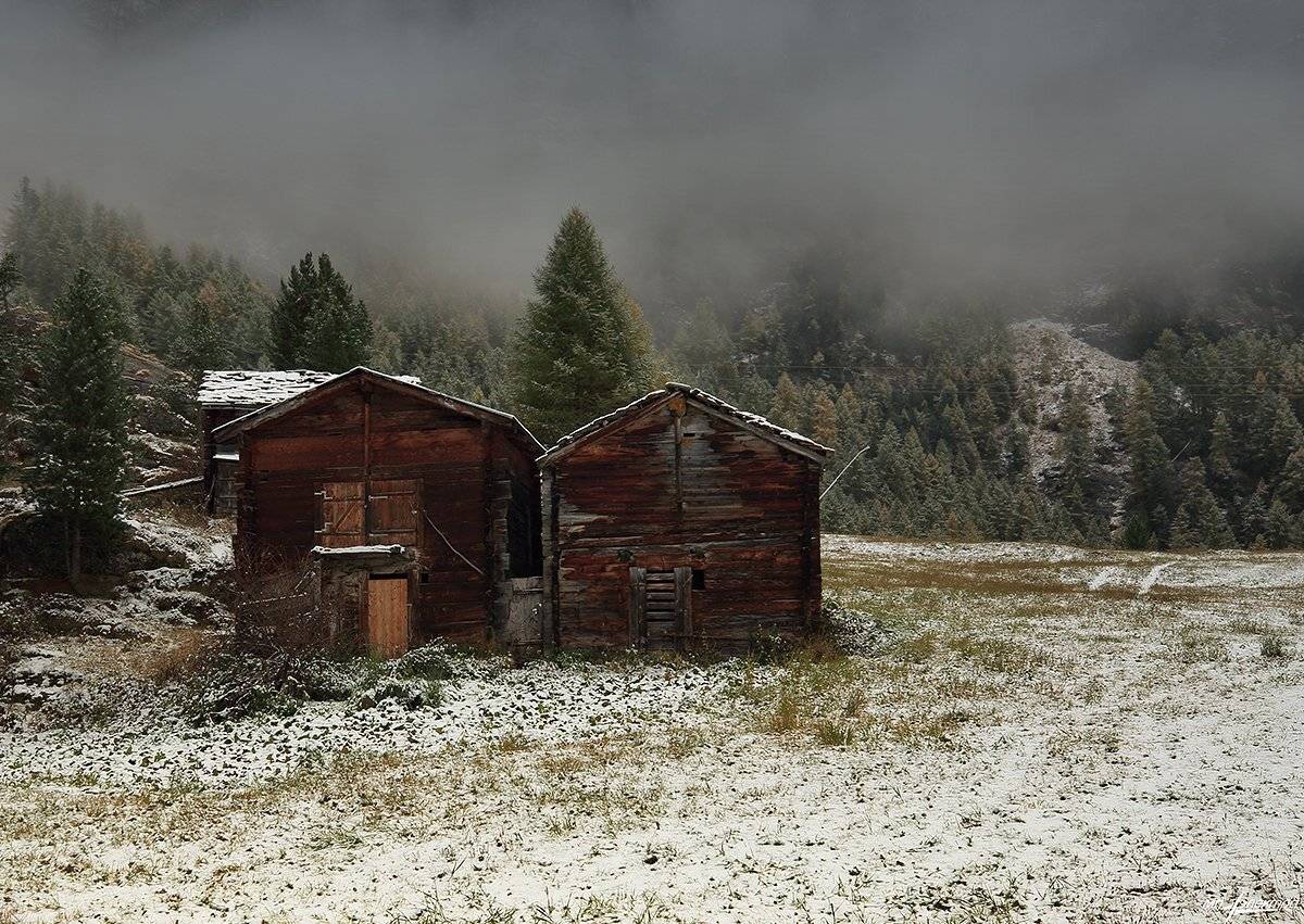 swiss, Матвеев Николай