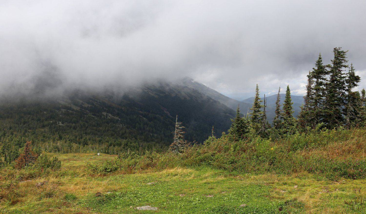 , Галина Хвостенко