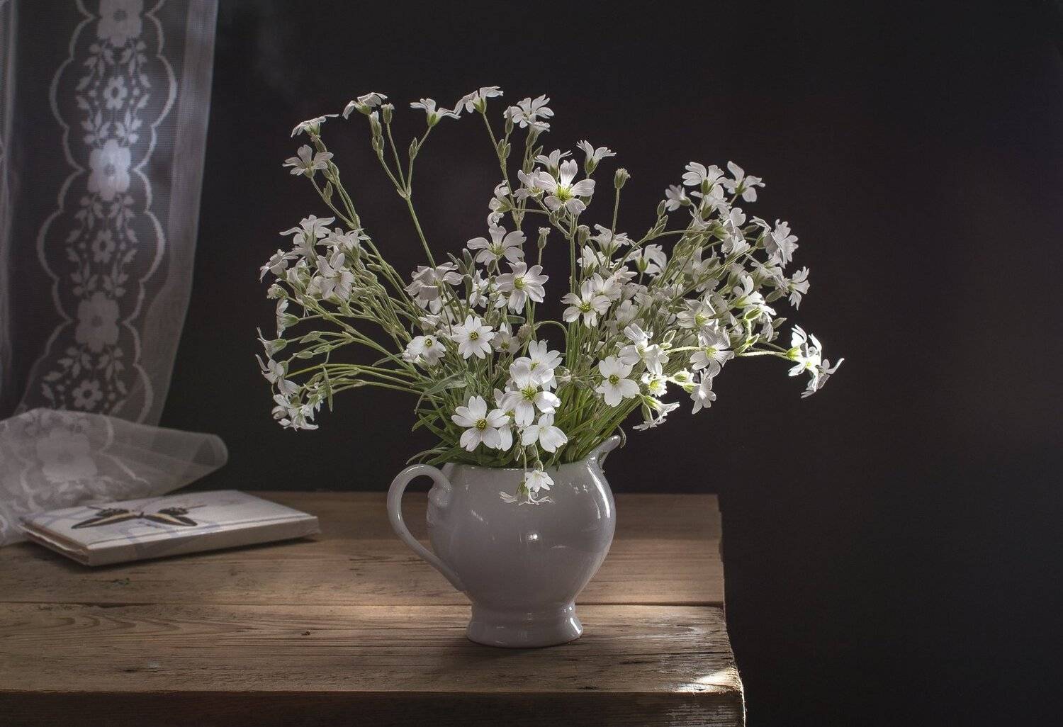 натюрморт,ясколка,букет,молочник,лето, блокнот, свет, Инаида