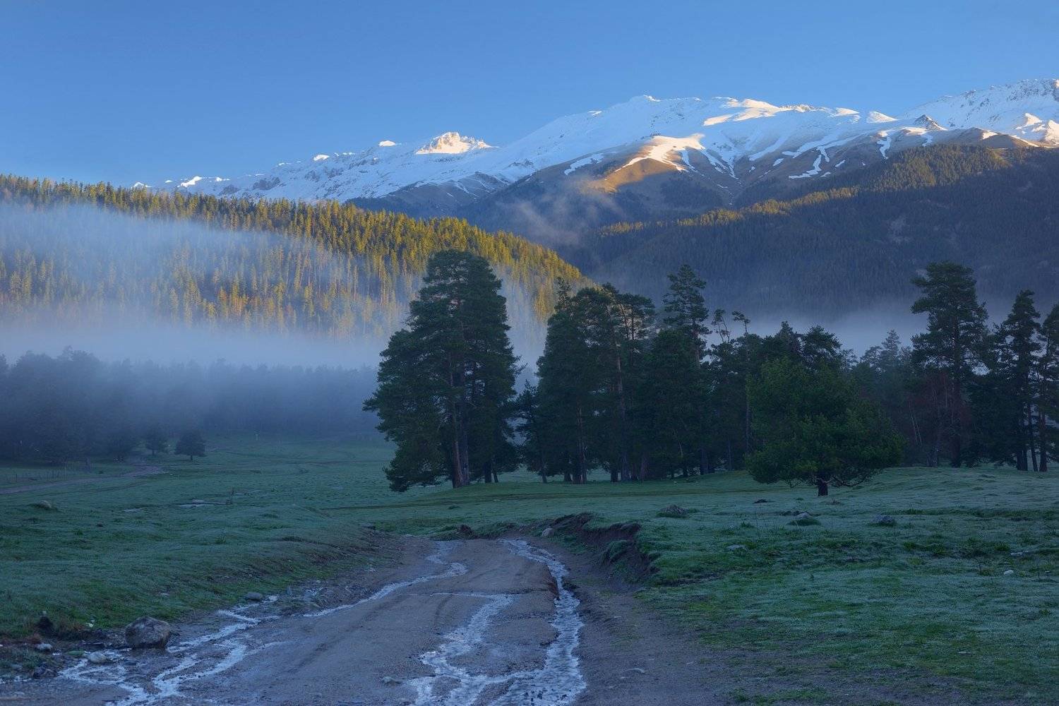 горы весна кавказ архыз рассвет туман, Александр Жарников