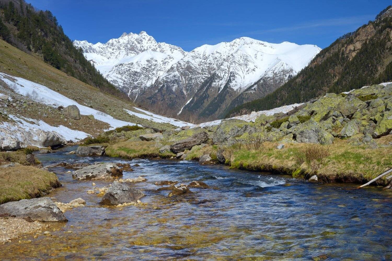 горы весна кавказ джалпокол, Александр Жарников
