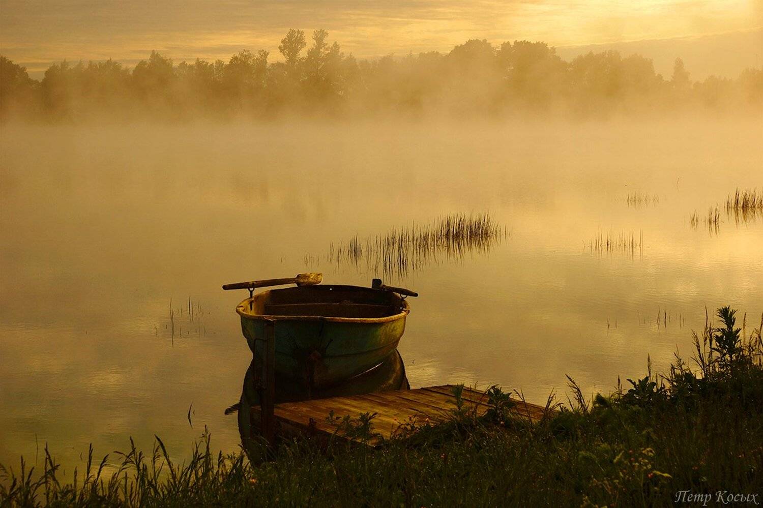 , Петр Косых