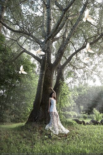 Хозяйка леса