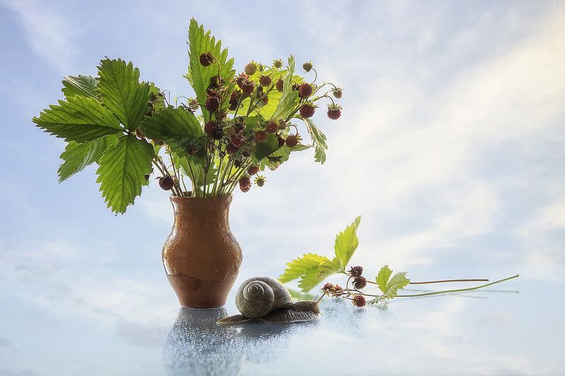 Земляничное настроение фото превью