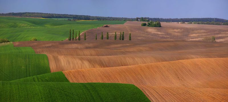 волынь, поле, лето, ***** фото превью