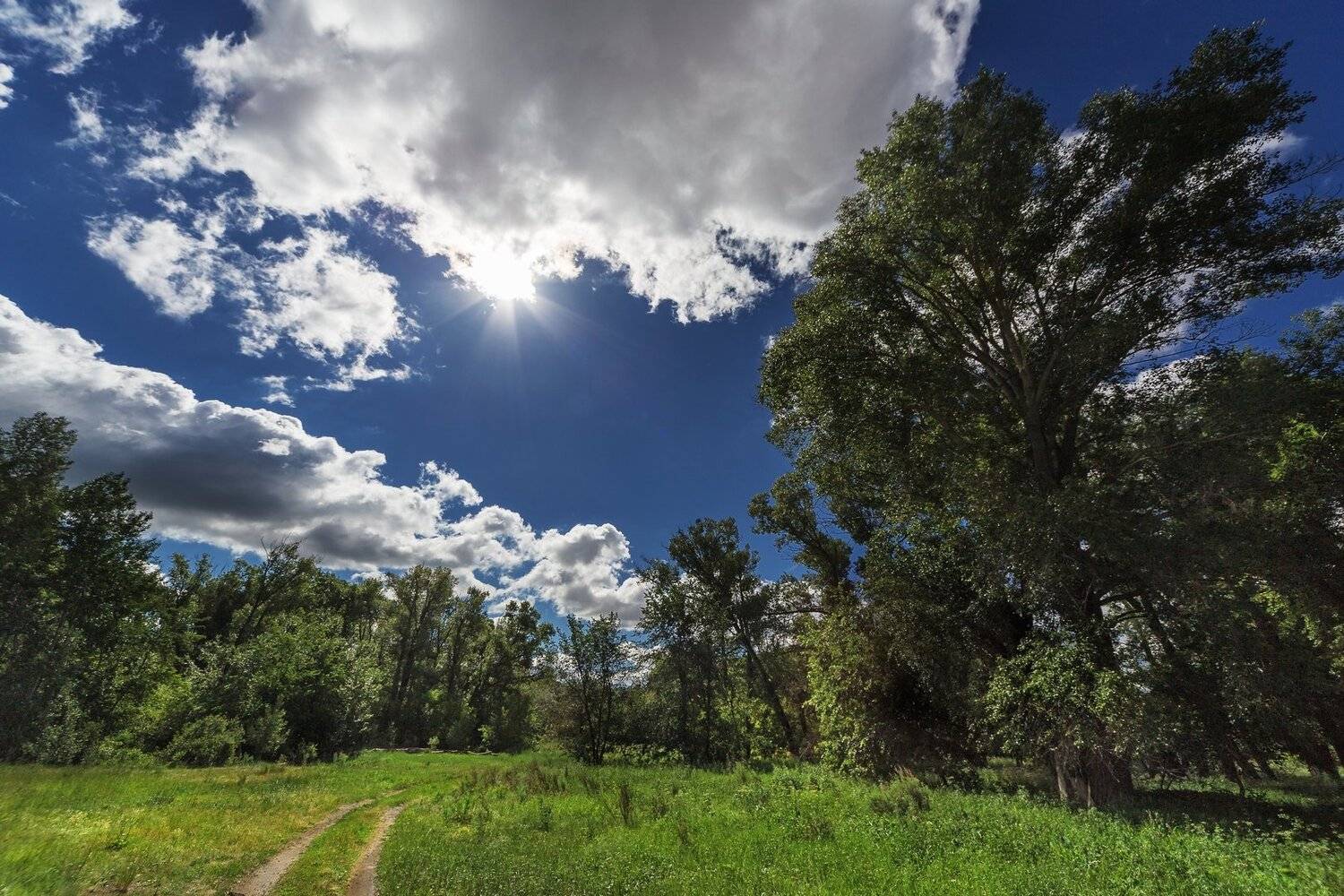 орск оренбургская обл. качурин новотроицк южный урал алтай алтайский край, Качурин Алексей