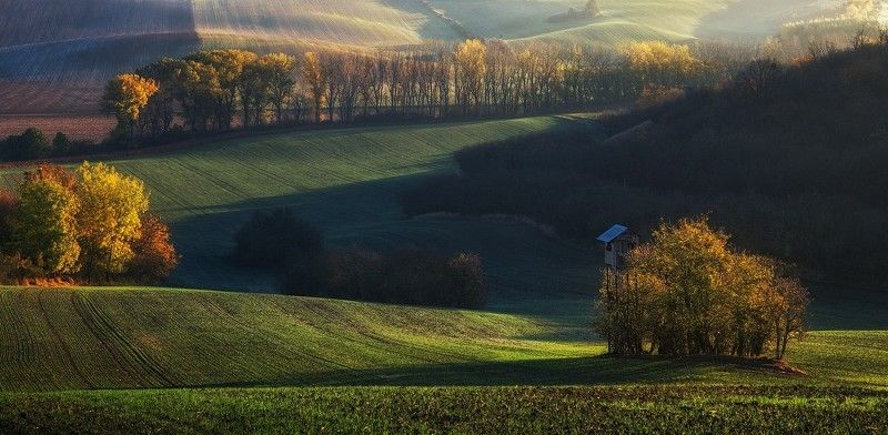 Охотничий сезон фото превью