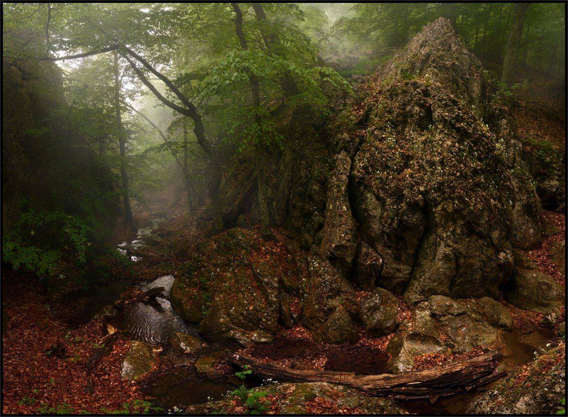 , Владимир Метцгер